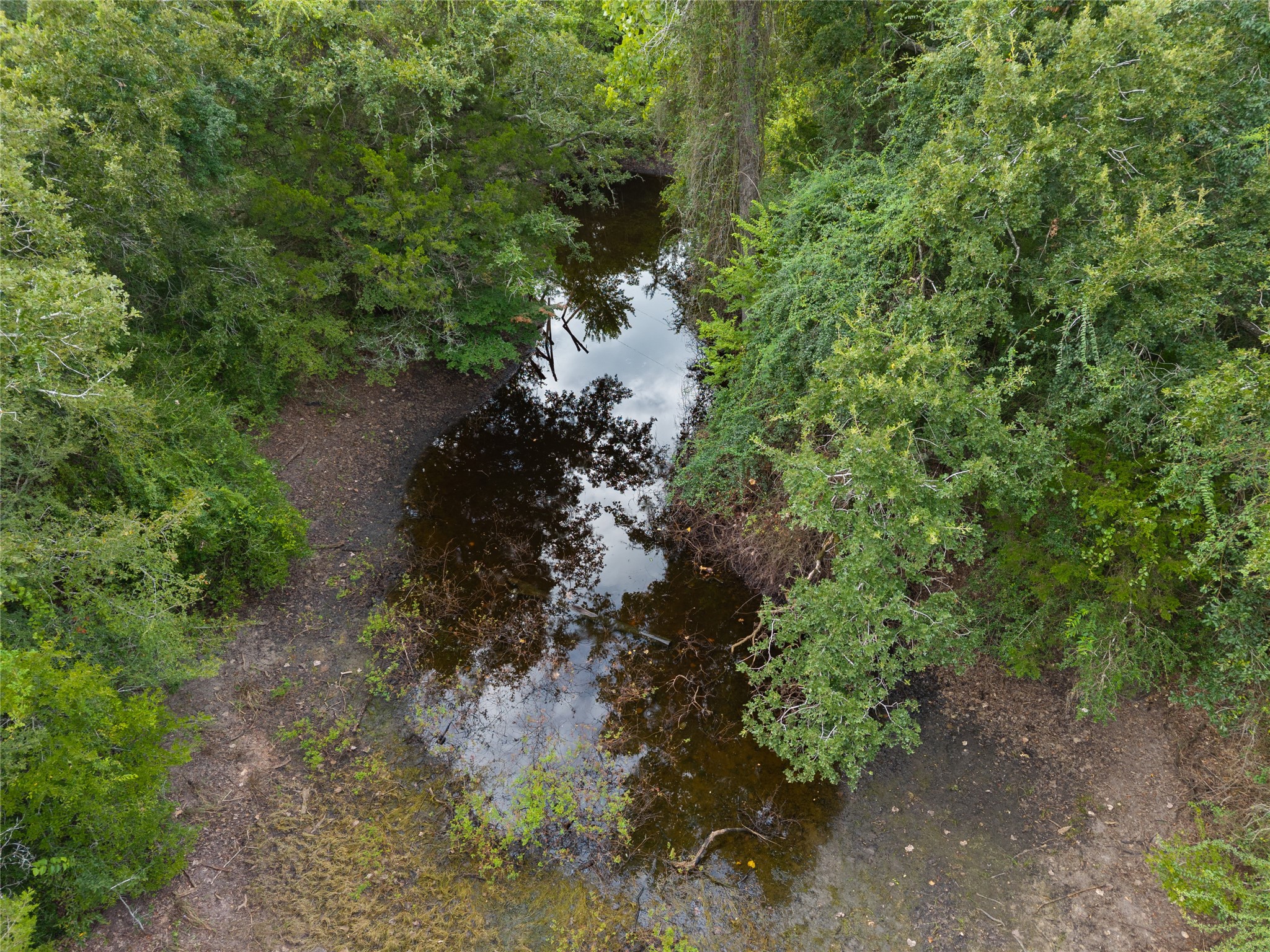 21105 Fm 159 Property Photo 9