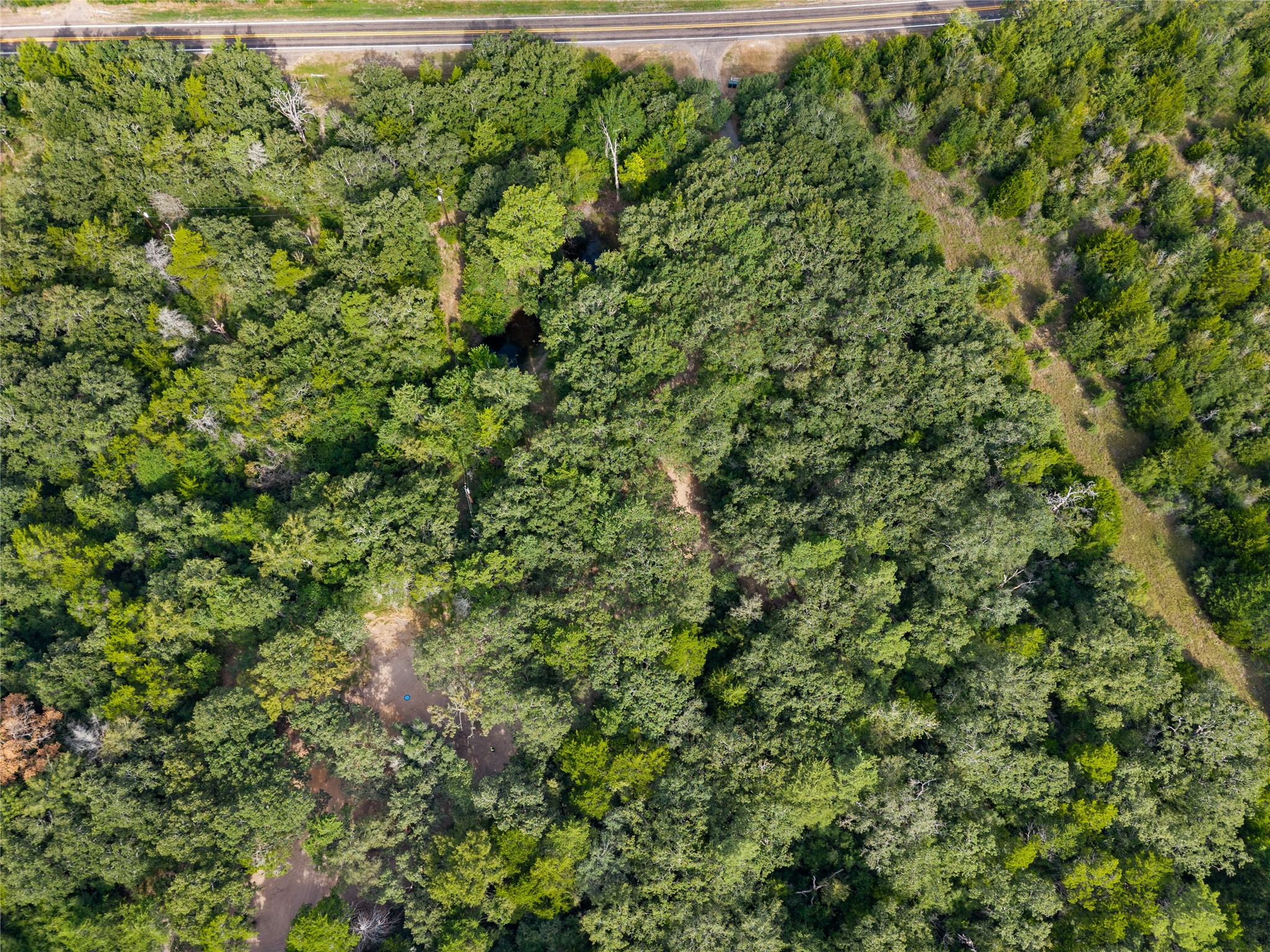 21105 Fm 159 Property Photo 11