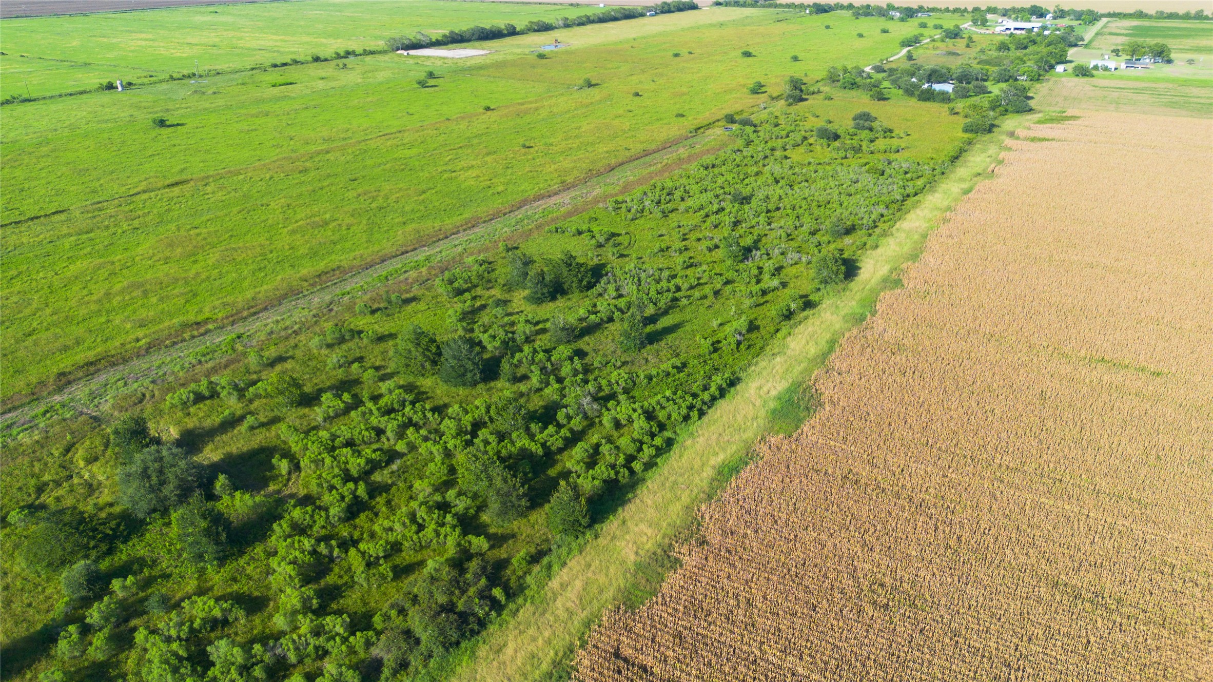 00 County Road 390 Property Photo 7