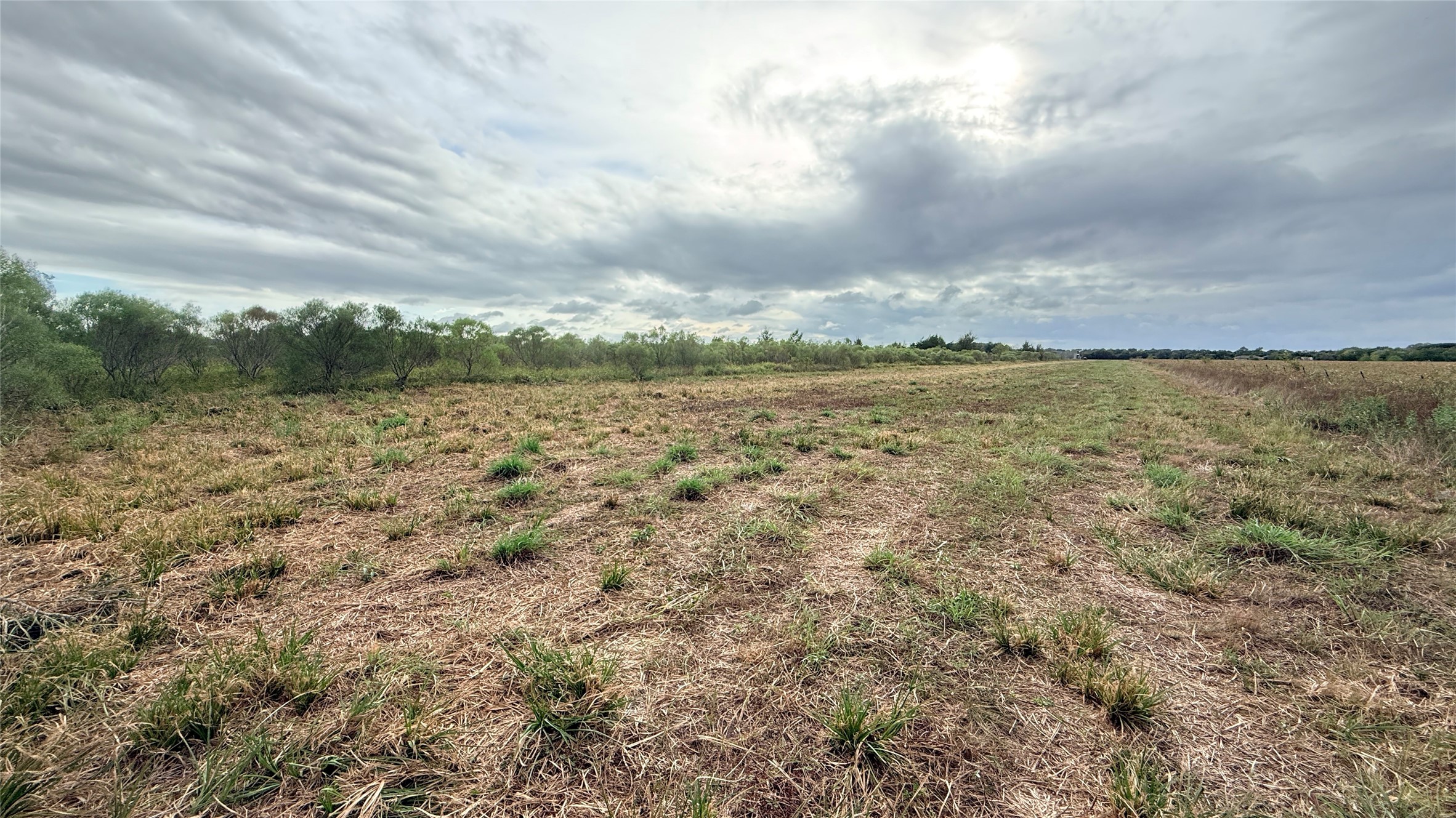 00 County Road 390 Property Photo 11