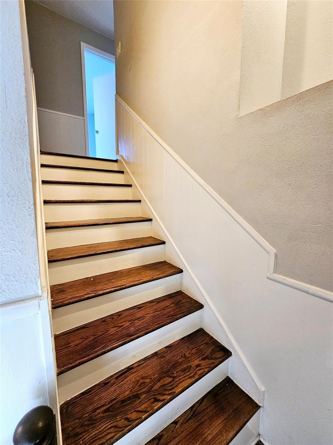 9738 Braesmont Drive Property Photo 14