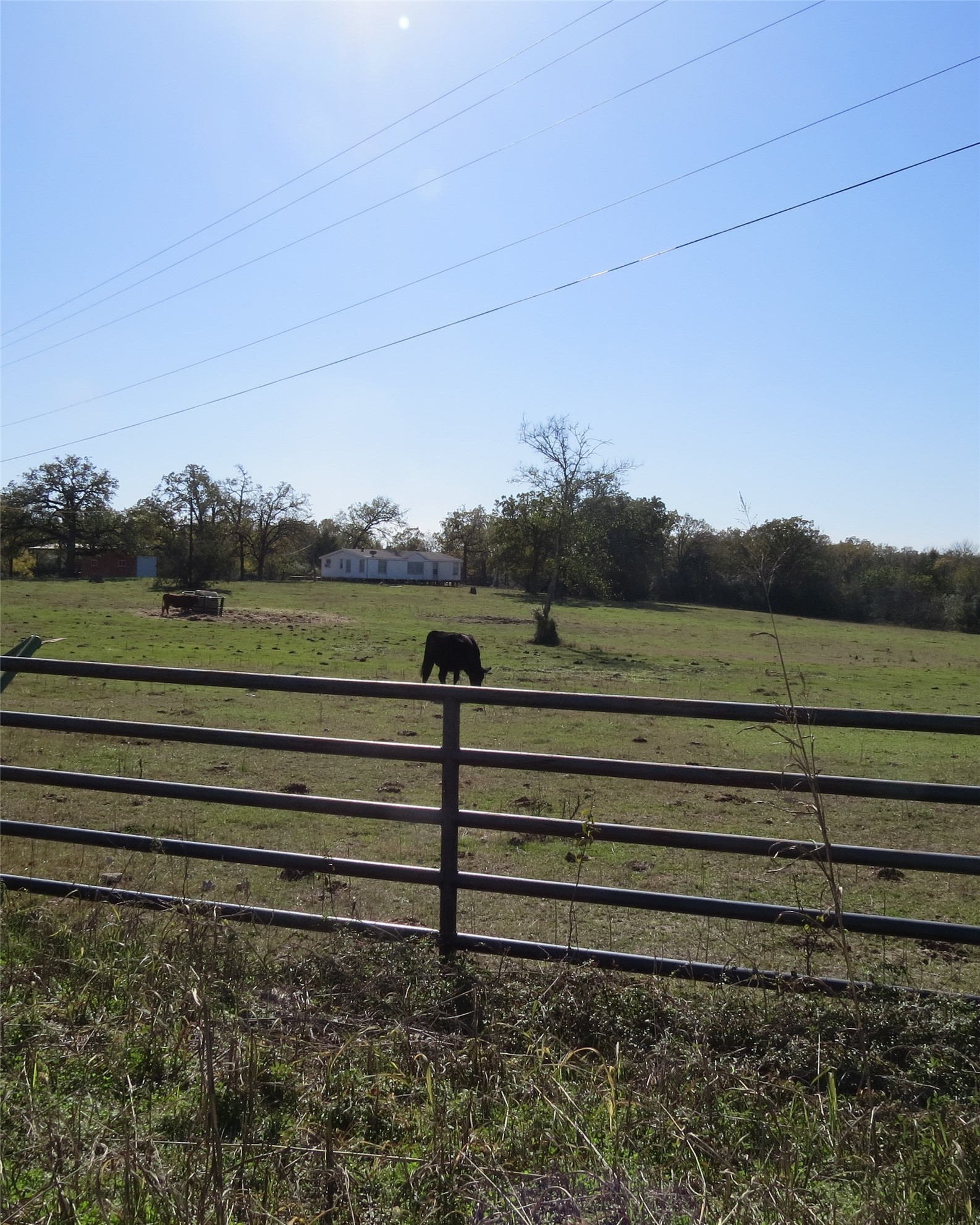 7538 Rocky Ridge Lane Property Photo 3