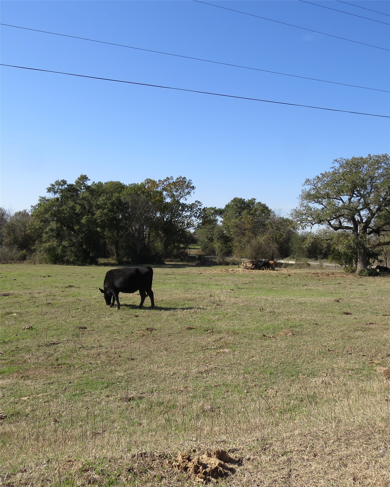 7538 Rocky Ridge Lane Property Photo 4