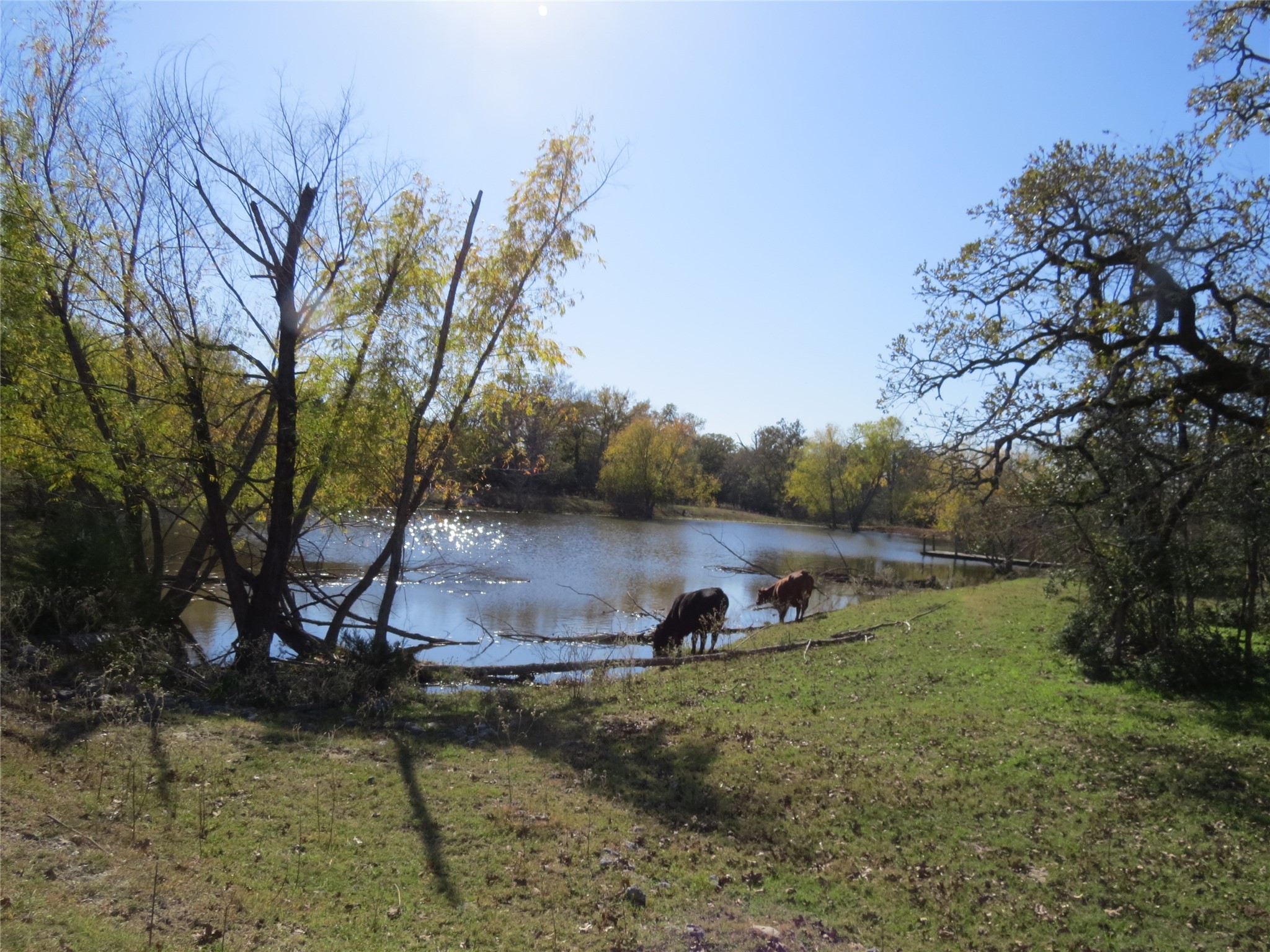 7538 Rocky Ridge Lane Property Photo 40