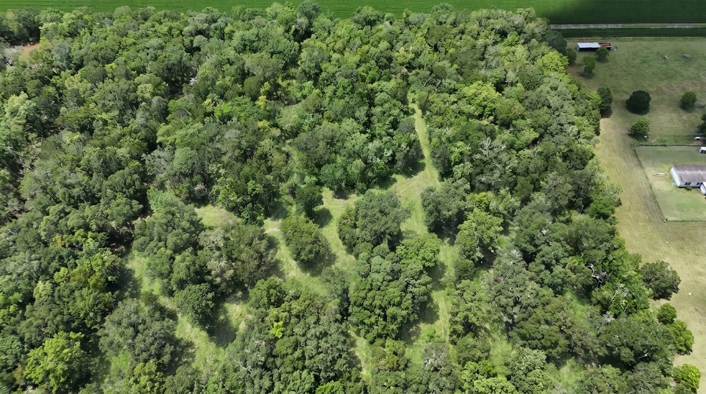 Tbd Lot 2 County Rd 136 Property Photo 1