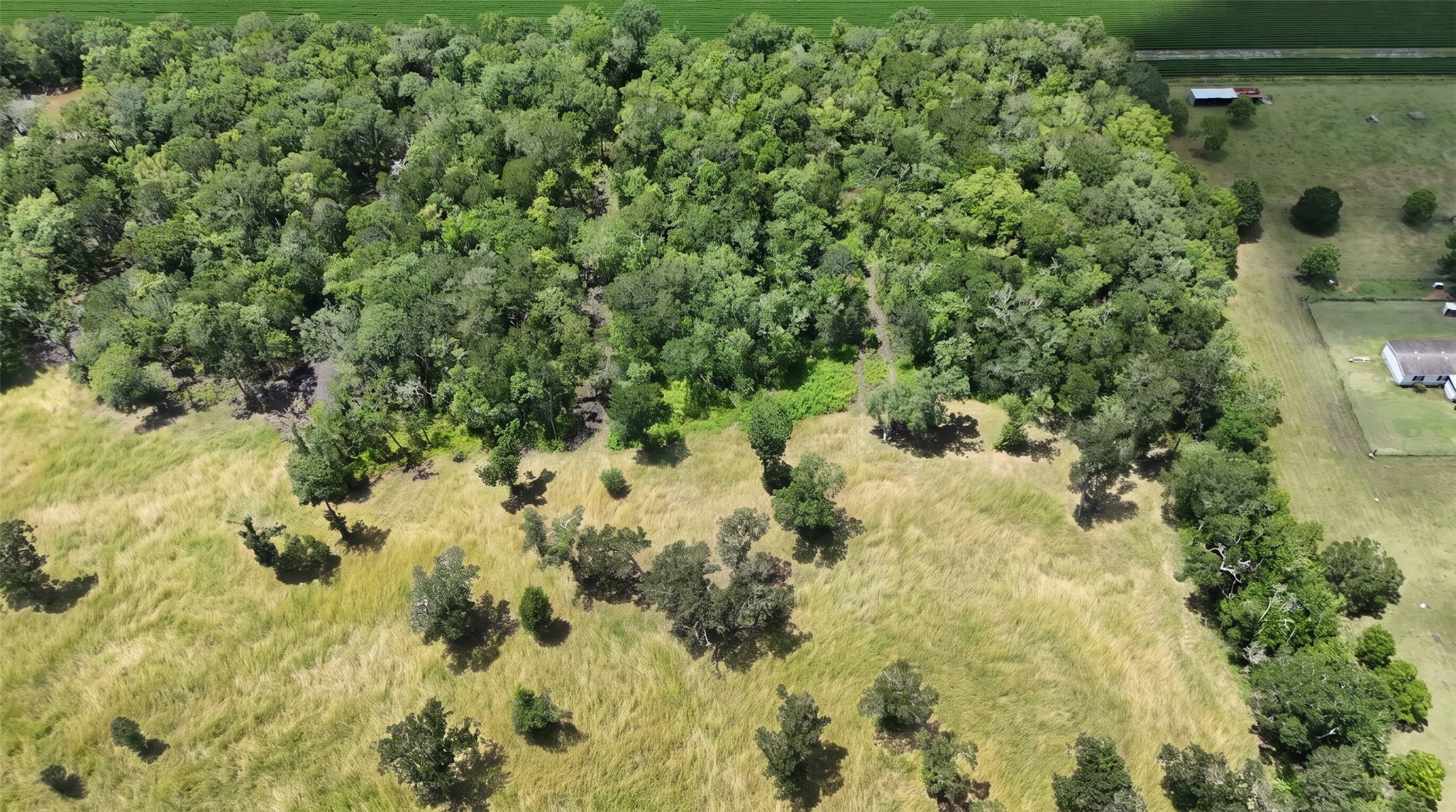 Tbd Lot 2 County Rd 136 Property Photo 1