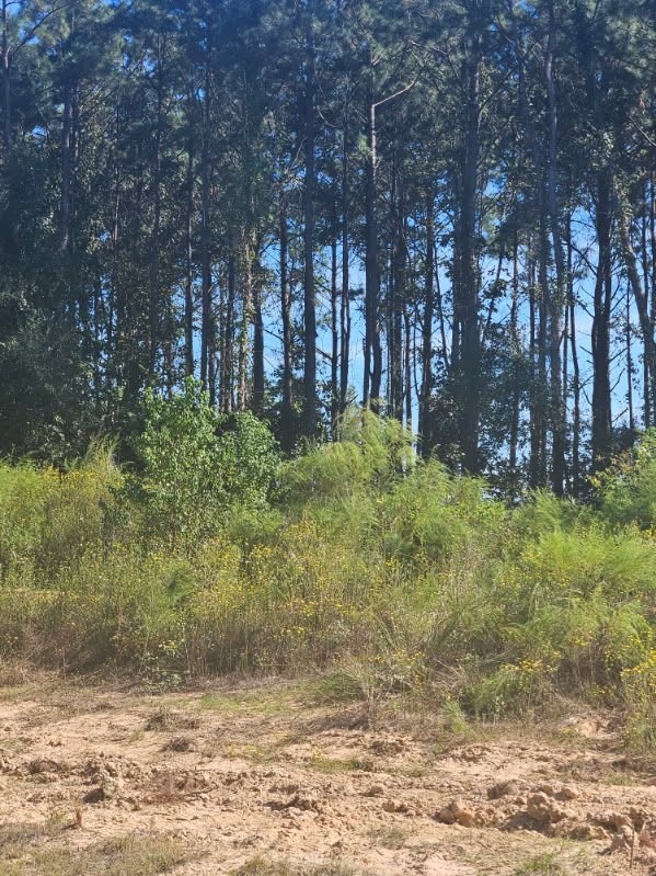 2055 Road 5913 Property Photo 5