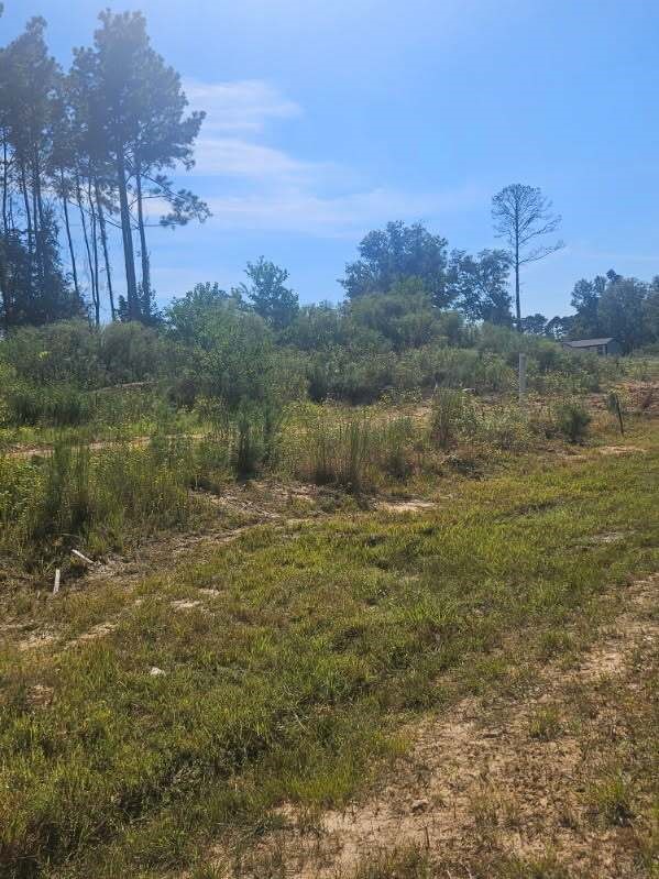 2055 Road 5913 Property Photo 6