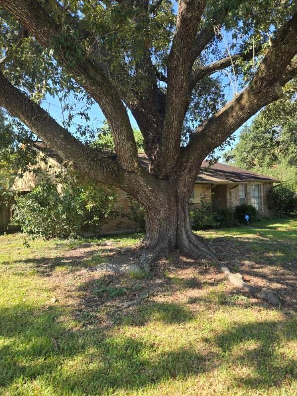 5811 Ludington Drive, Houston Tx 77035 Property Photo 14