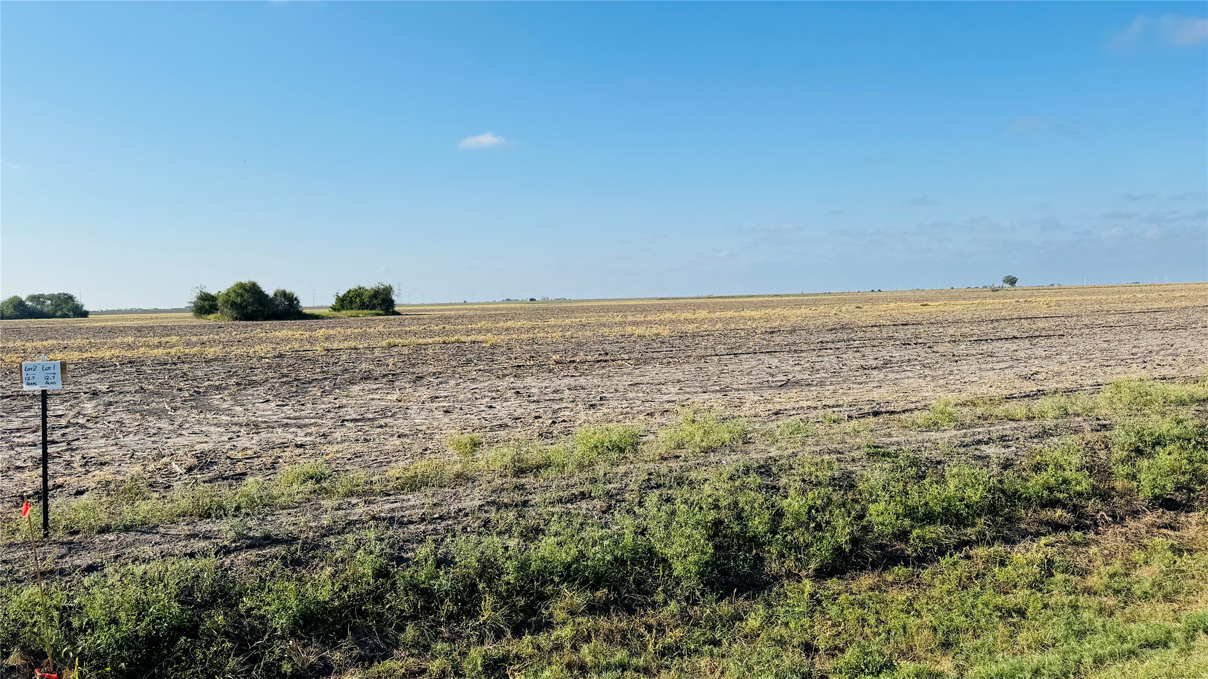 Lot 1 County Road 798 Property Photo 4