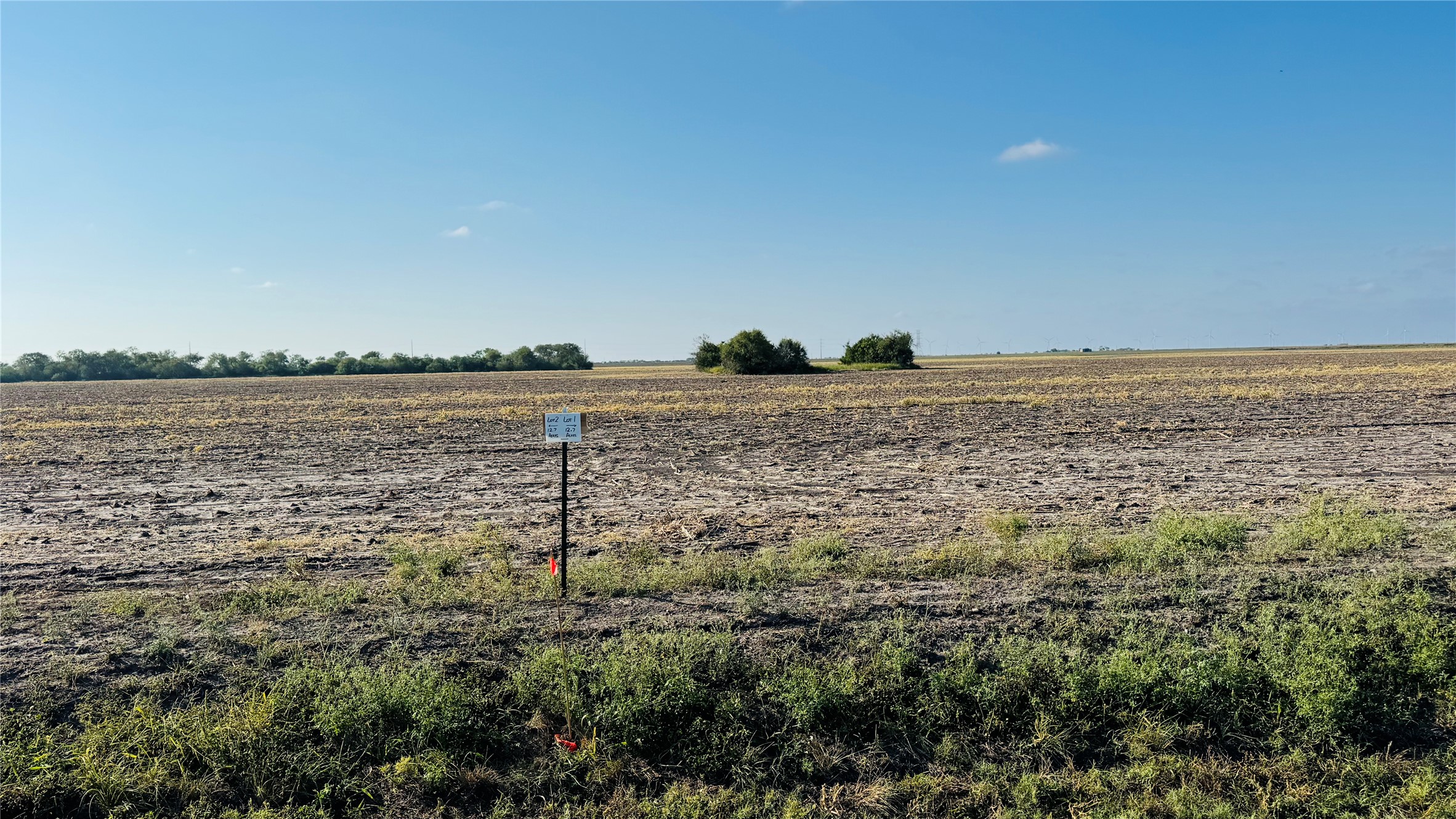 Lot 1 County Road 798 Property Photo 5