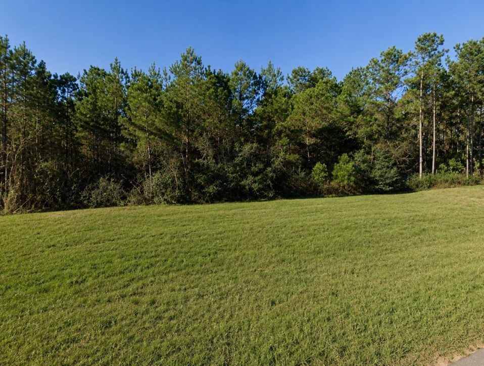11700 Grand North Road Property Photo 4