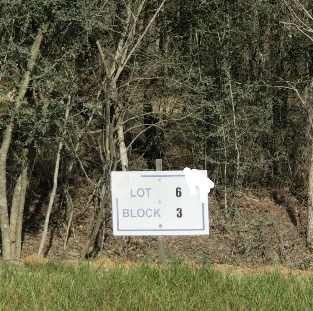 10775 Ruger Road Property Photo 4
