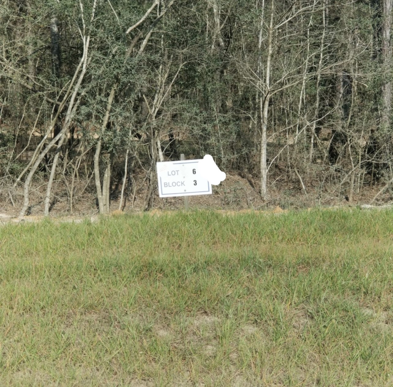 10775 Ruger Road Property Photo 5