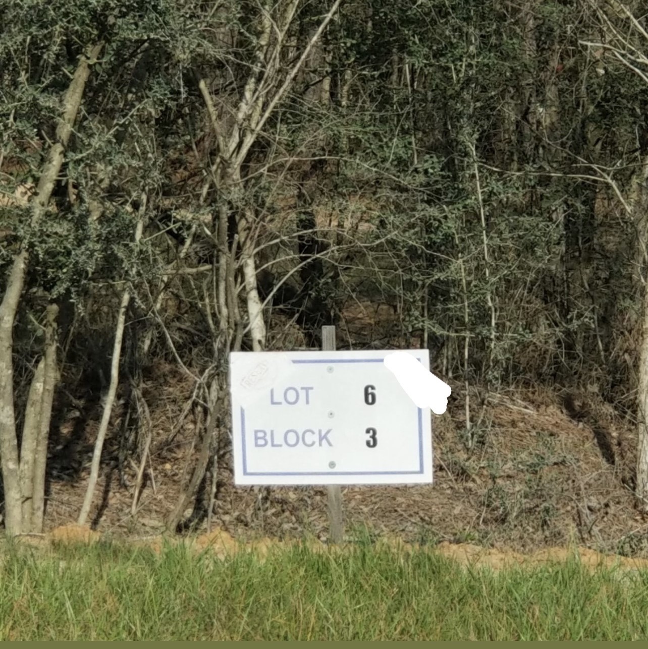 10775 Ruger Road Property Photo 6
