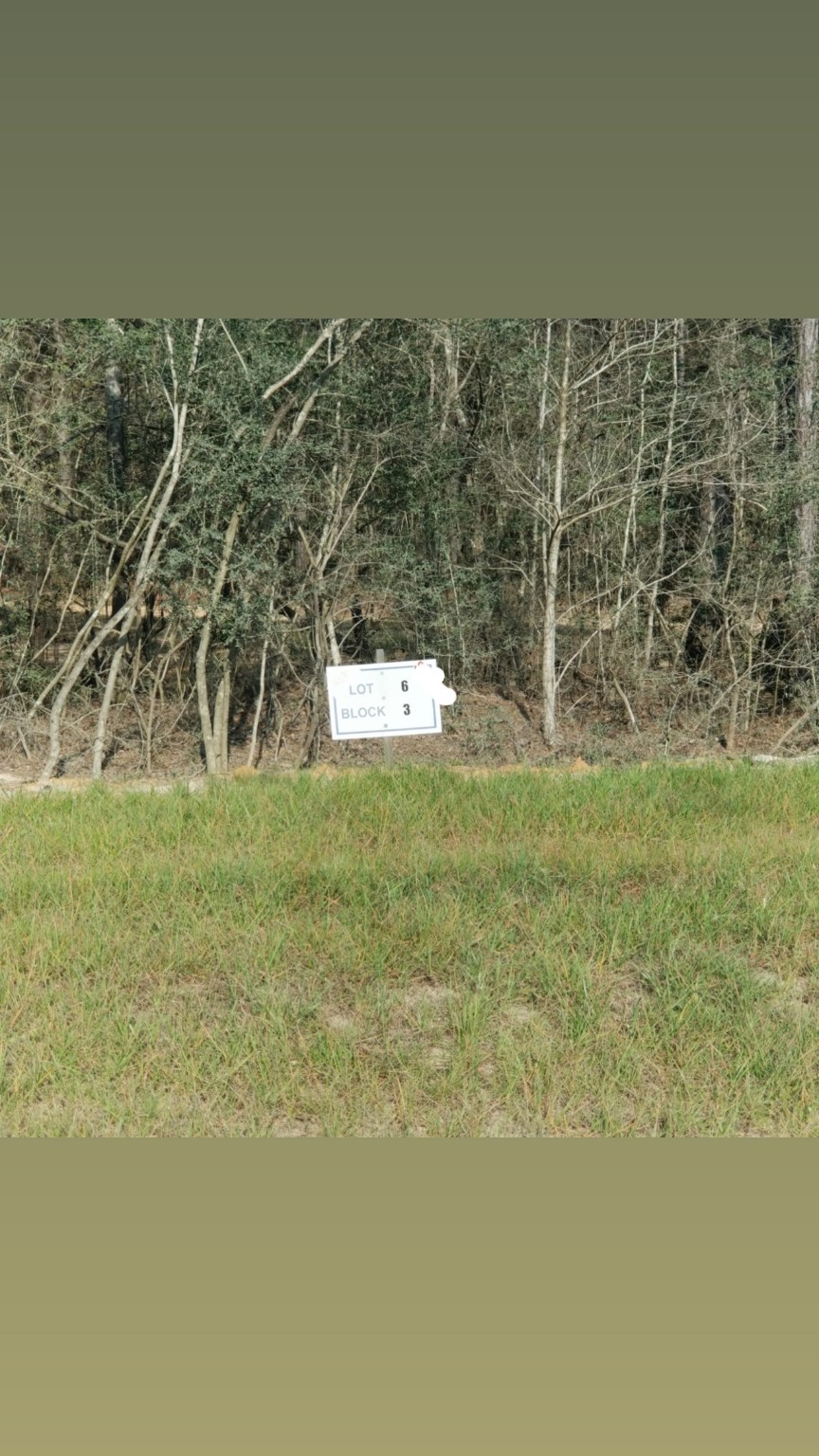 10775 Ruger Road Property Photo 7