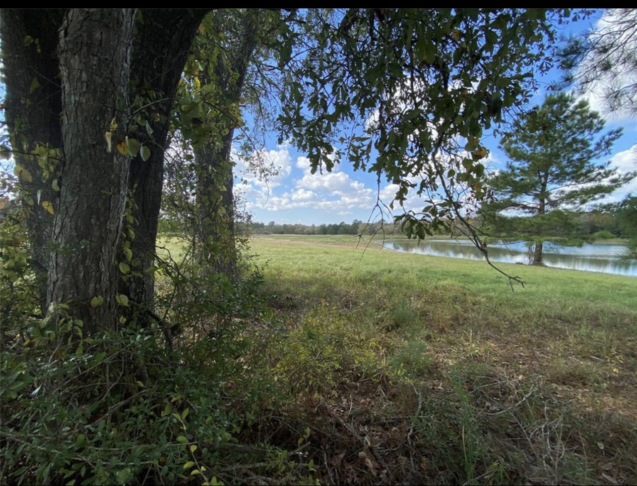 10775 Ruger Road Property Photo 9