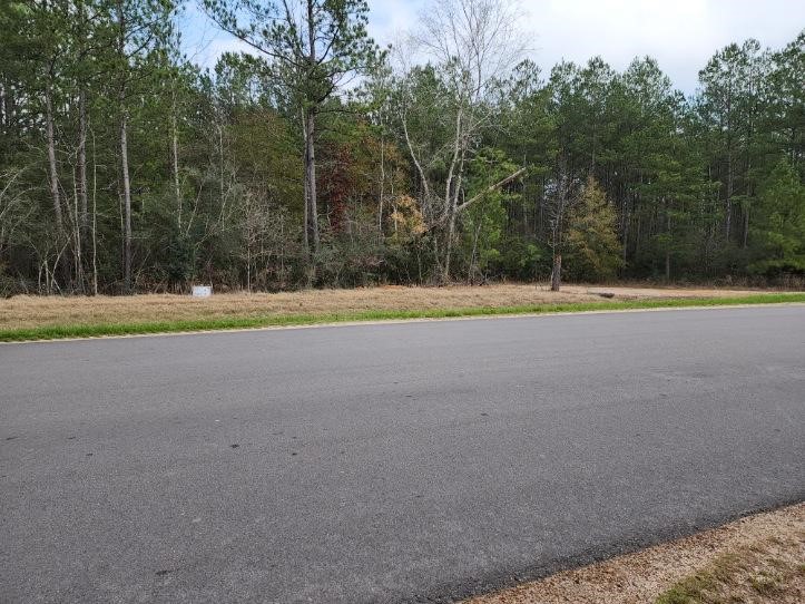 10775 Ruger Road Property Photo 12