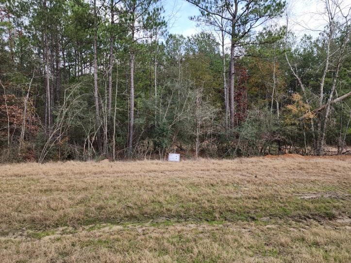 10775 Ruger Road Property Photo 13