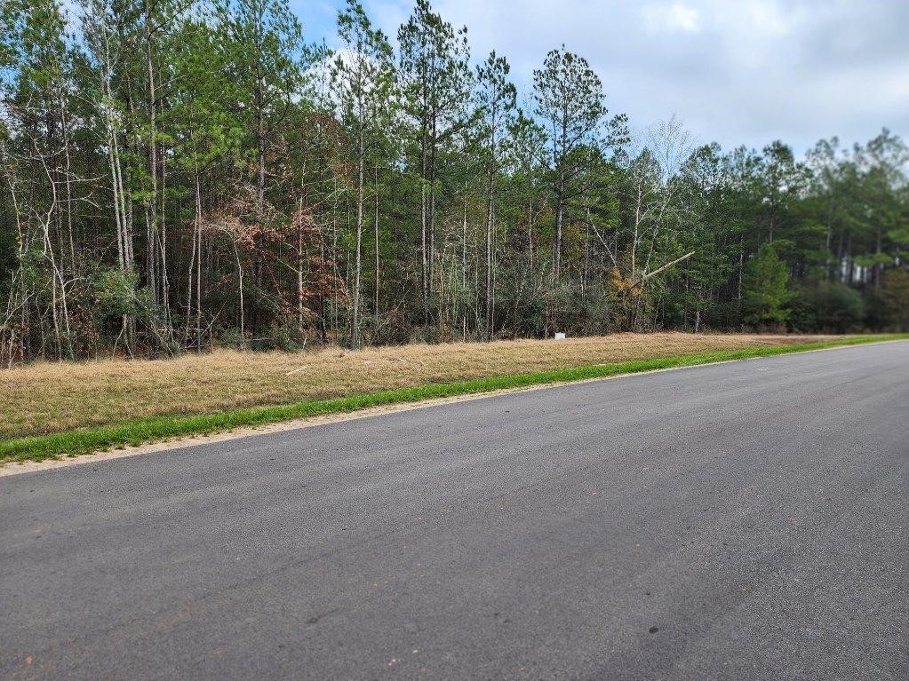 10775 Ruger Road Property Photo 15