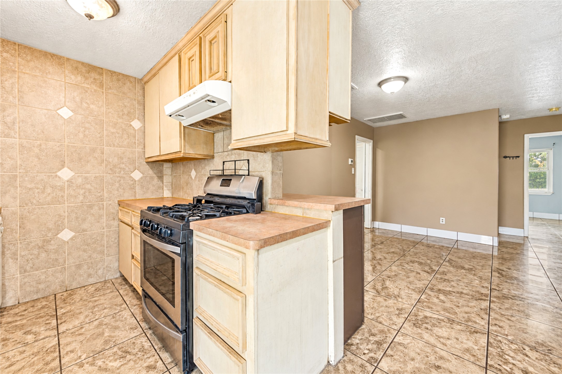 1009 Wisconsin Street Property Photo 13