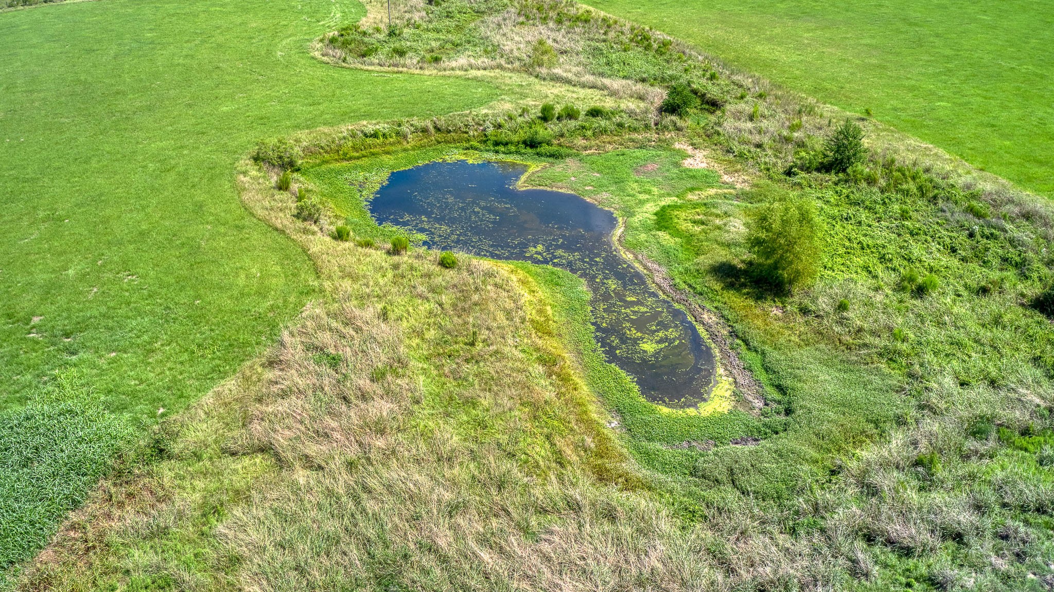 24594 Fm 362 Road Property Photo 15