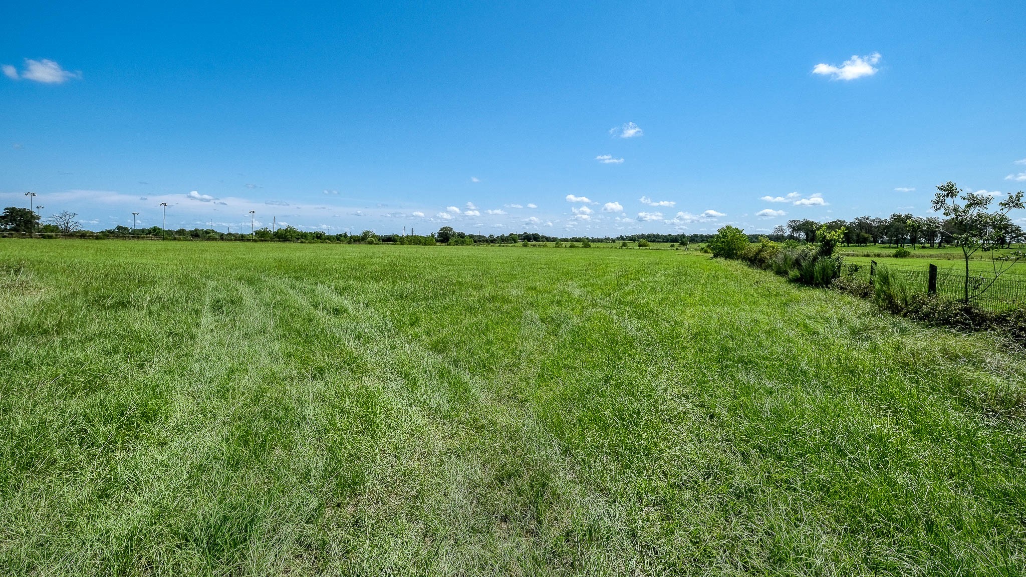 24594 Fm 362 Road Property Photo 16