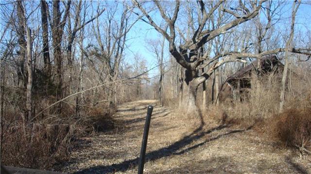 Blue Mills Road Property Photo 14