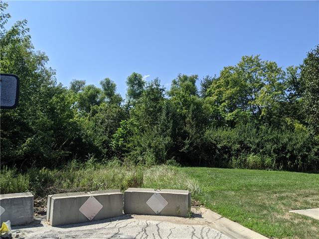 Madison Drive Property Photo 6