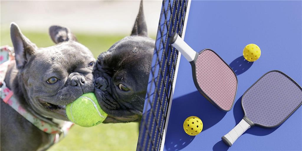 13706 Pembroke Lane Property Photo 37