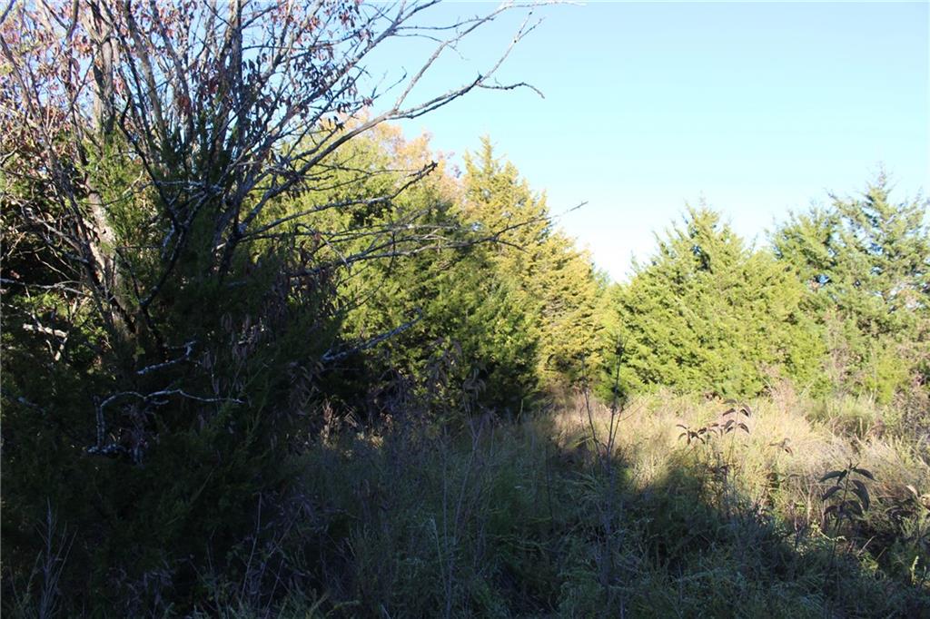 9730 Sunflower Road Property Photo 41