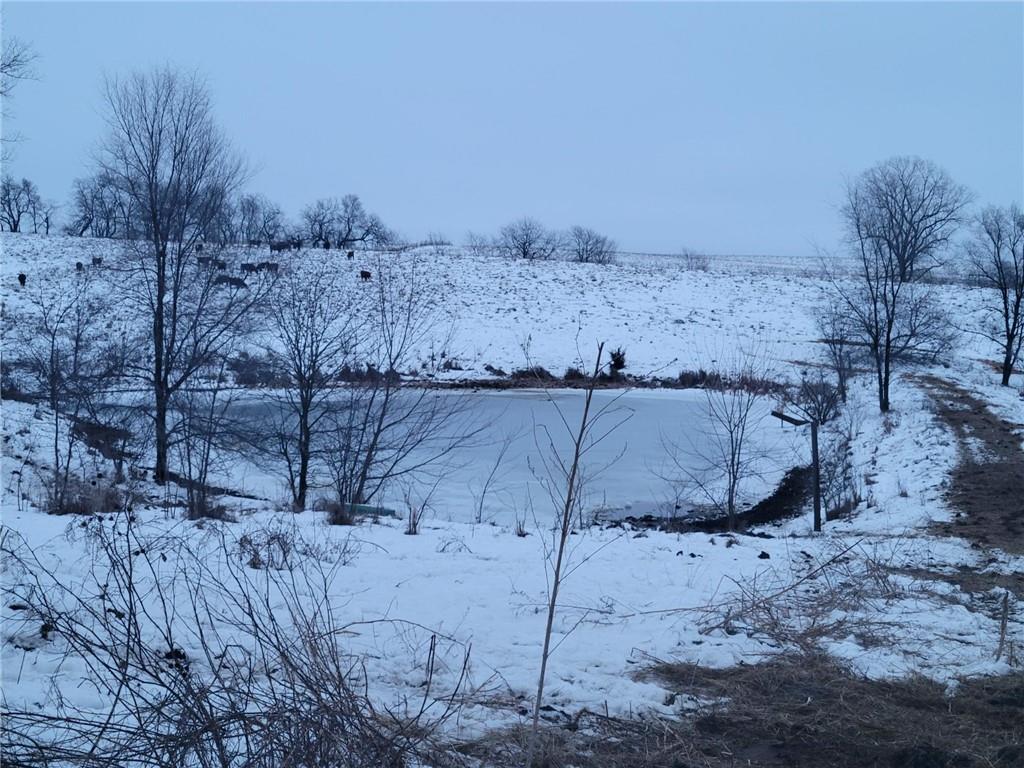Grant Road Property Photo 22