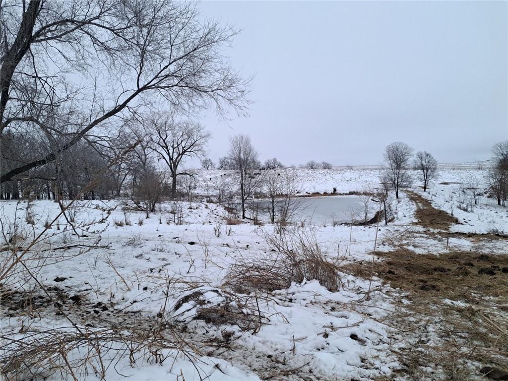 Grant Road Property Photo 28