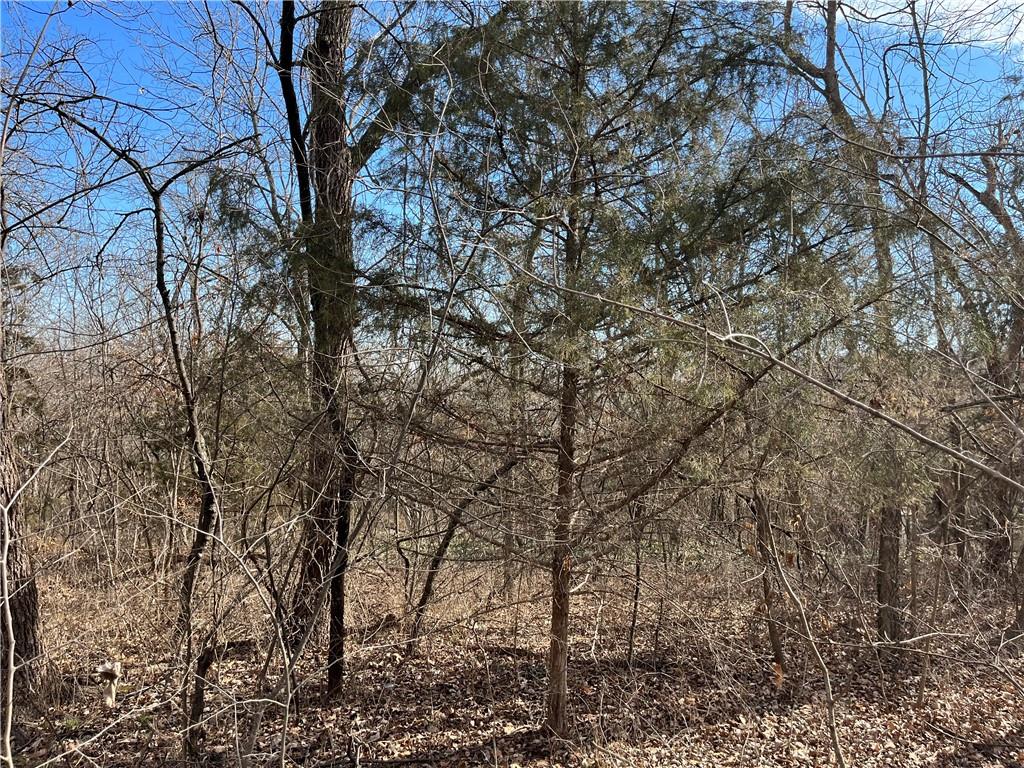 9 Locust Drive Property Photo 2