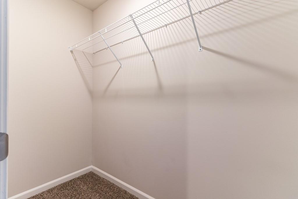 10298 Lucca Lane Property Photo 29