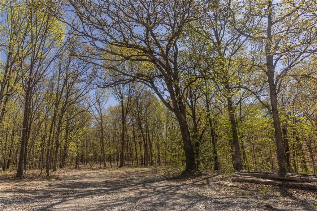 27064 Hickory Tree Lane Property Photo