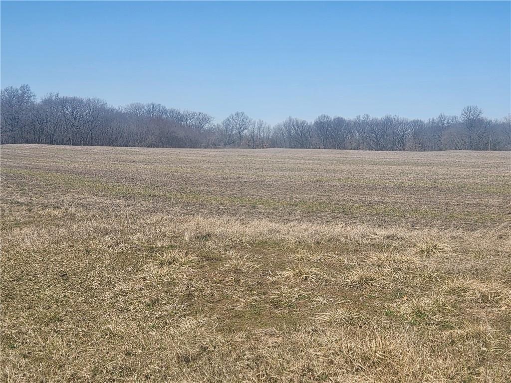 Lot 2 S State Route W Highway Property Photo 1