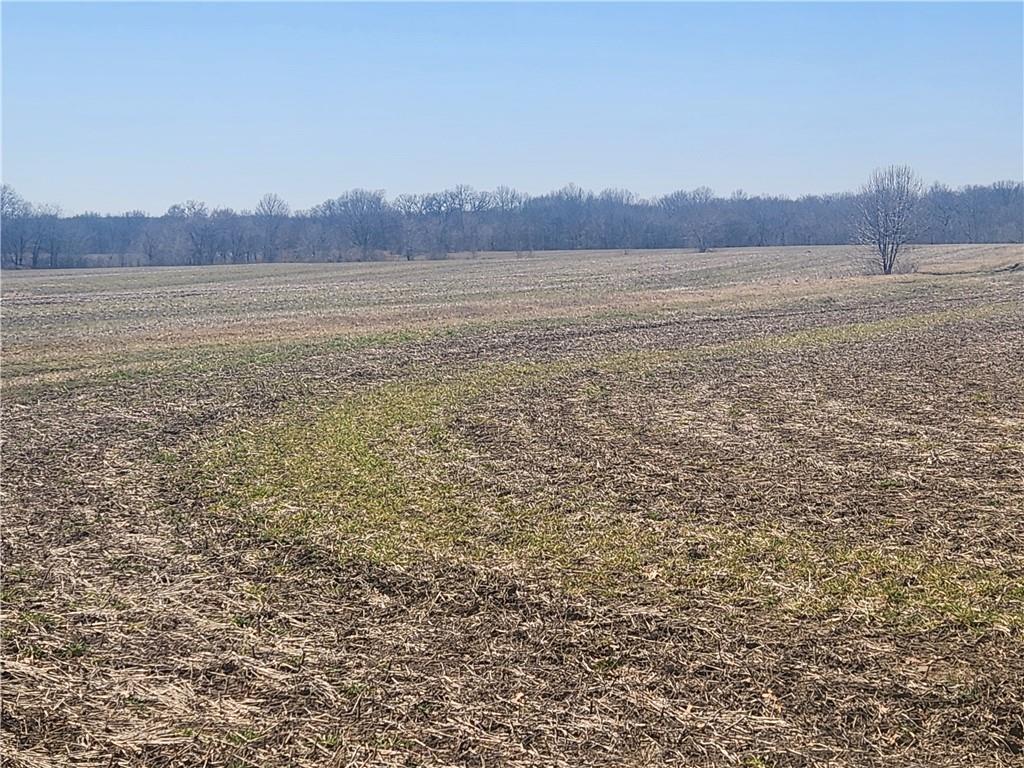 Lot 5 S State Route W Highway Property Photo 1