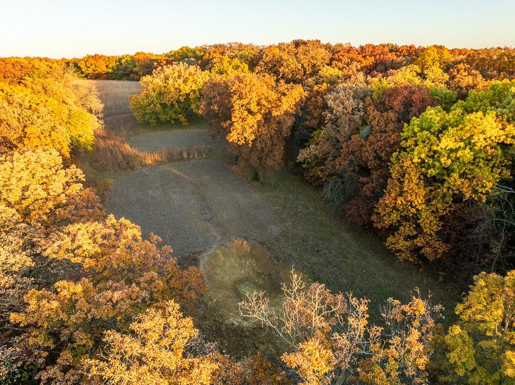 Tbd State Route 46 N/a Property Photo 5