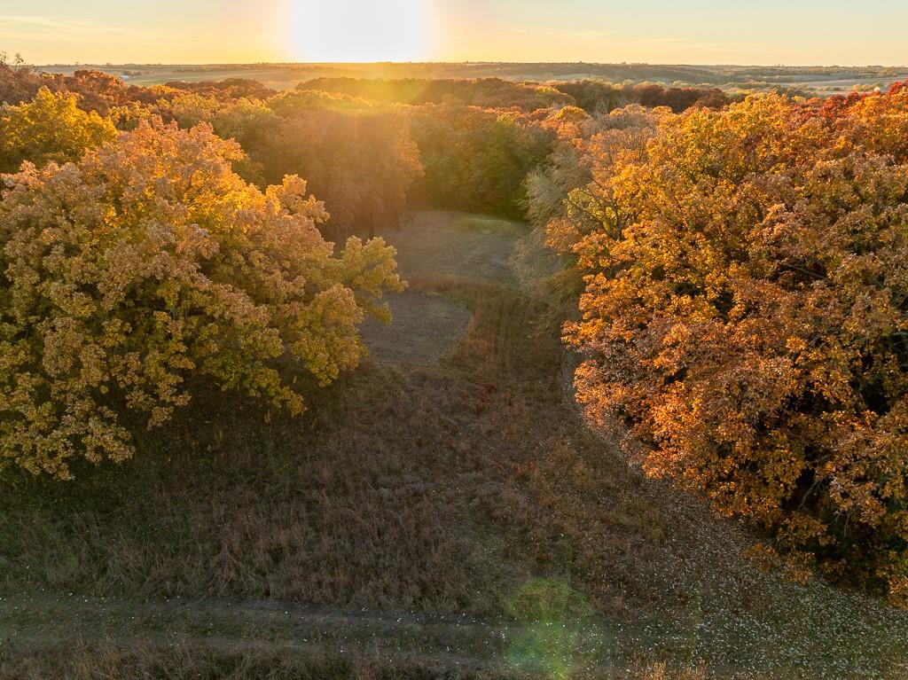 Tbd State Route 46 N/a Property Photo 11