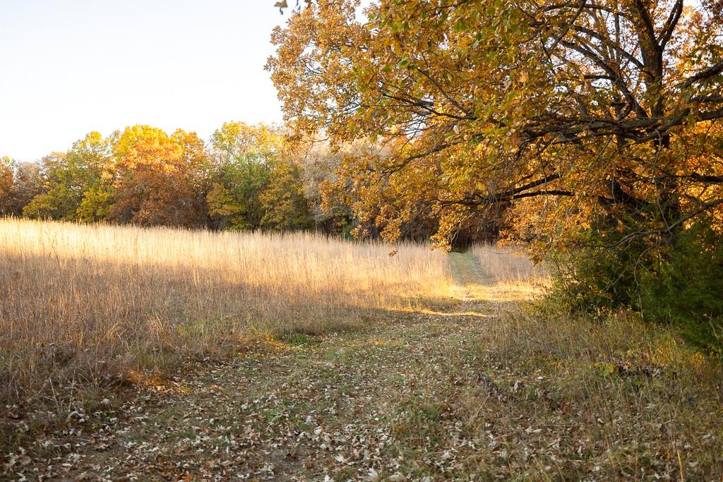 Tbd State Route 46 N/a Property Photo 43