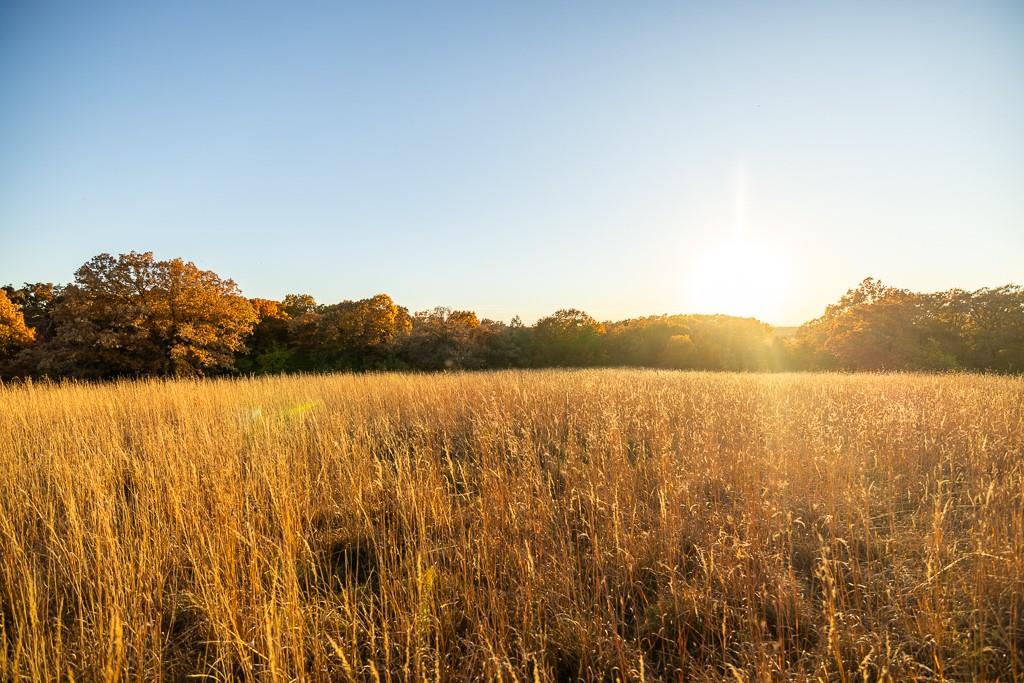 Tbd State Route 46 N/a Property Photo 56