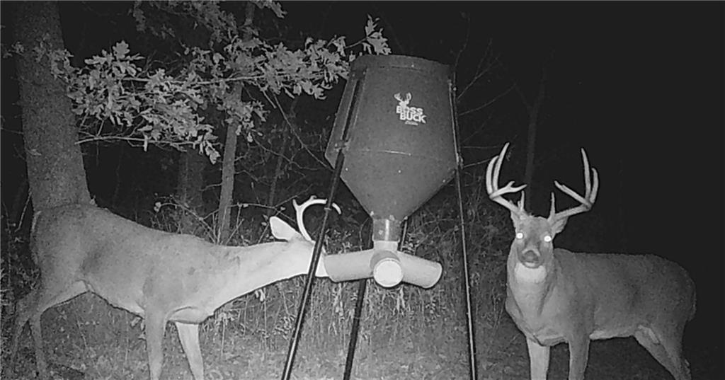 Tbd State Route 46 N/a Property Photo 78