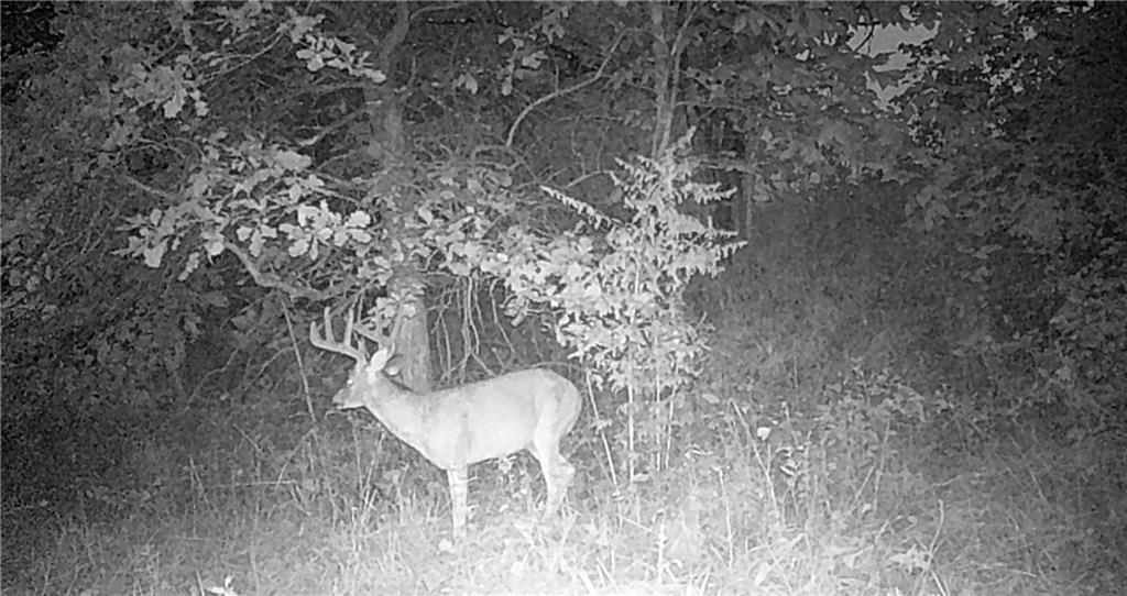 Tbd State Route 46 N/a Property Photo 88