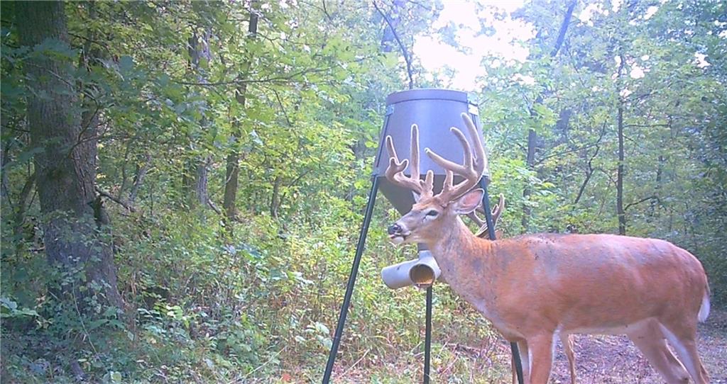 Tbd State Route 46 N/a Property Photo 93