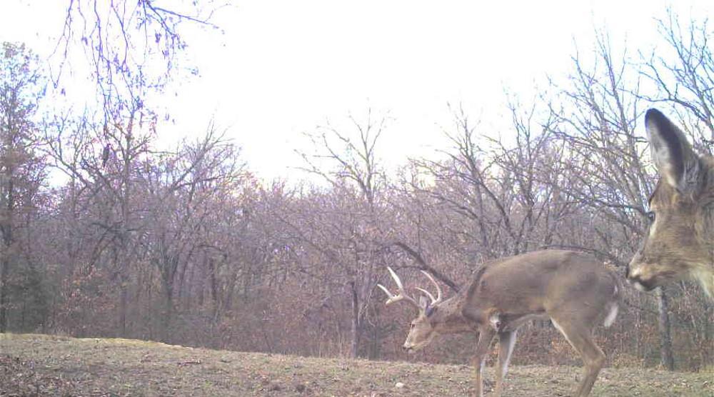 Tbd State Route 46 N/a Property Photo 96