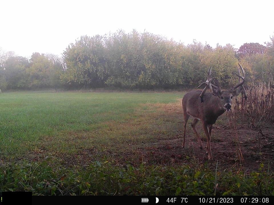 Tract 6 Hardsaw Road Property Photo 5