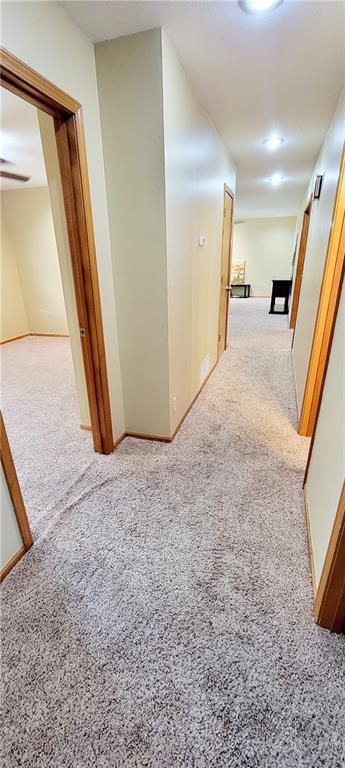 1516 E Lincoln Street Property Photo 10