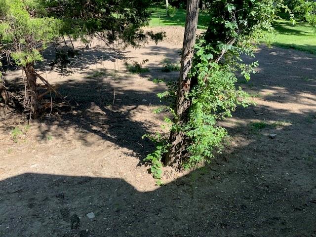 418 N Taylor Street Property Photo 11