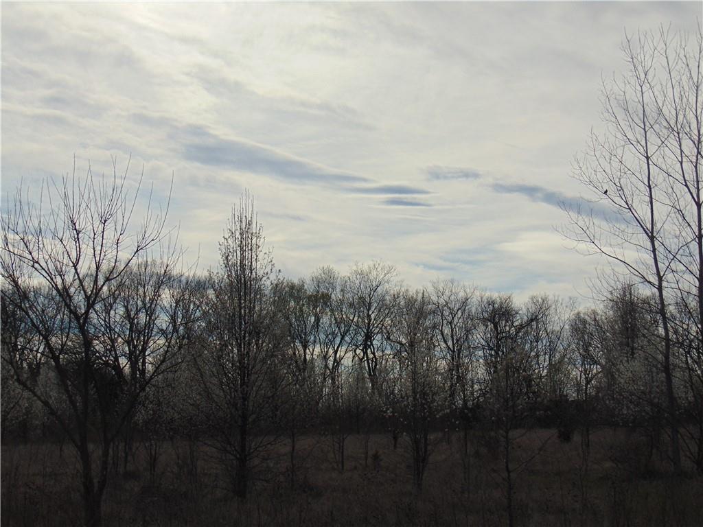 Krissy Bend Drive Property Photo 8